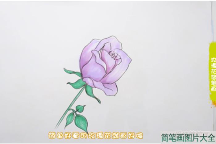 玫瑰花简笔画  第4张