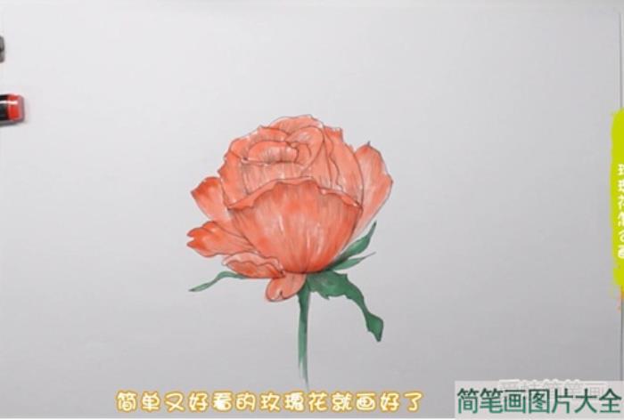 玫瑰花怎么画  第4张