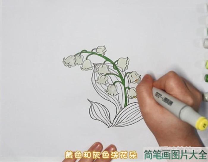 铃兰花怎么画  第3张