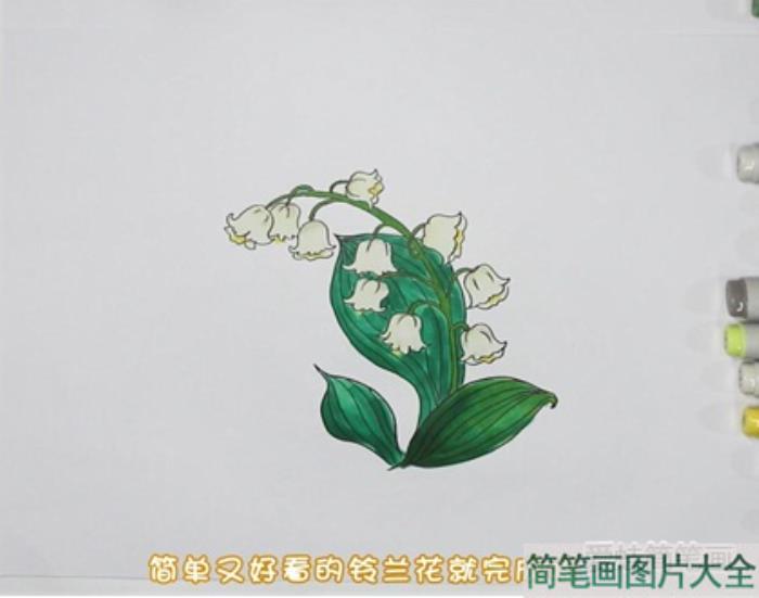 铃兰花怎么画  第4张