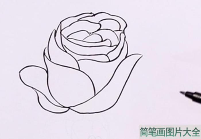 玫瑰花简笔画