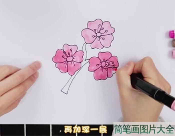 樱花怎么画  第3张