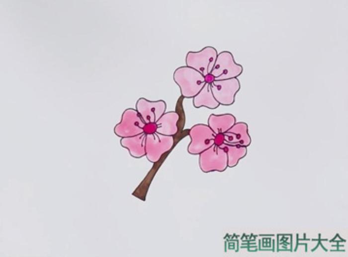 樱花怎么画  第4张