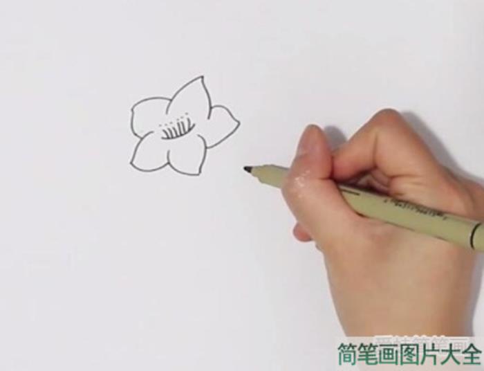 桃花简笔画