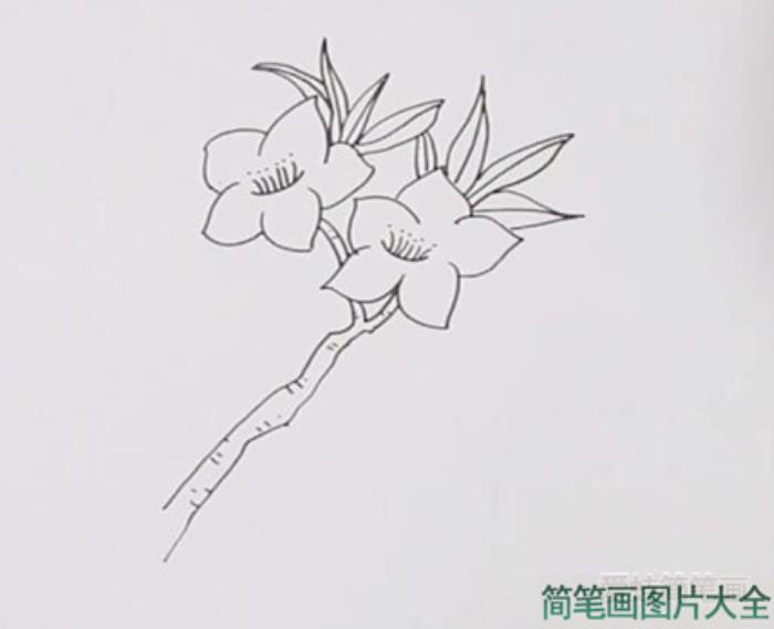 桃花简笔画  第2张