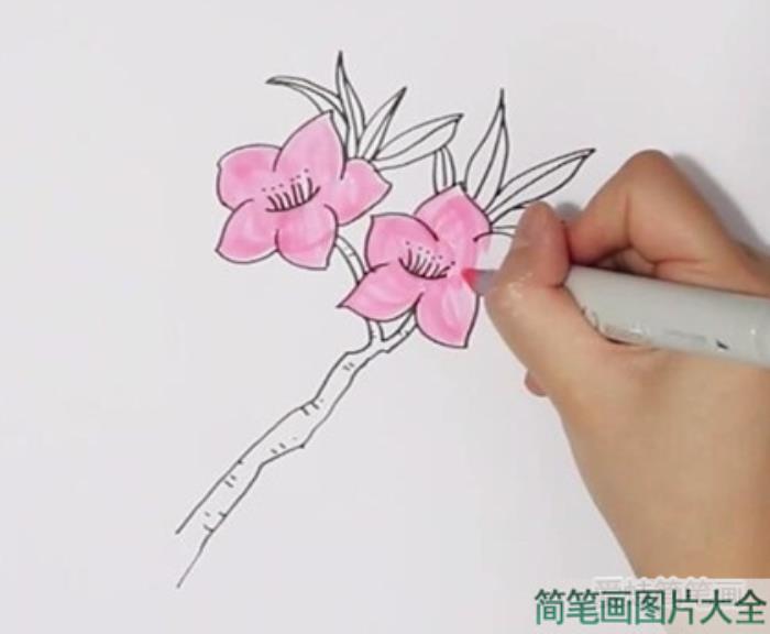 桃花简笔画  第3张