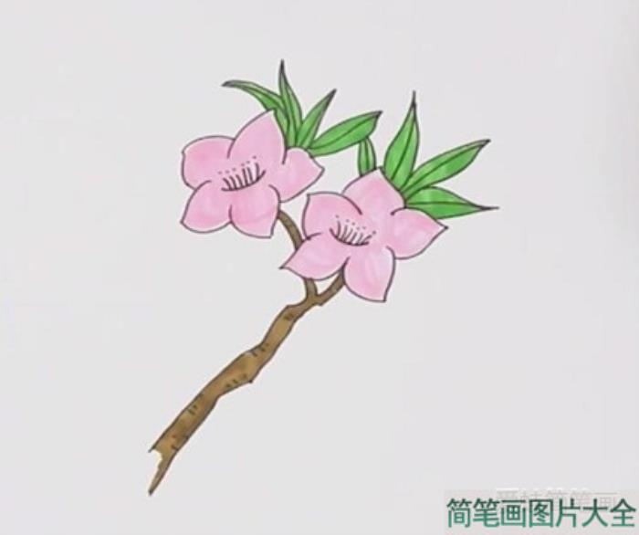 桃花简笔画  第4张