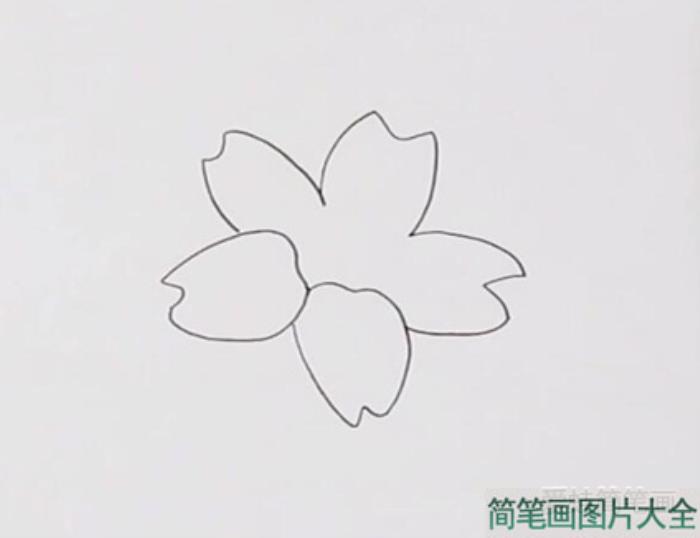 迎春花简笔画