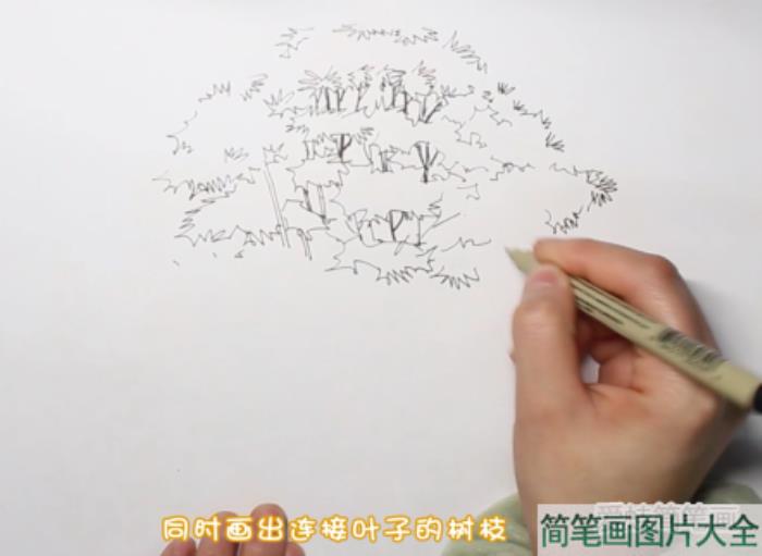 大树简笔画