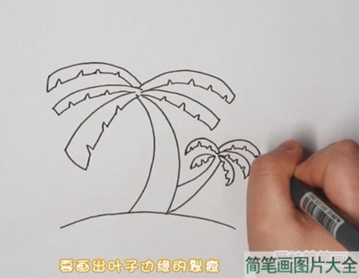 椰子树简笔画