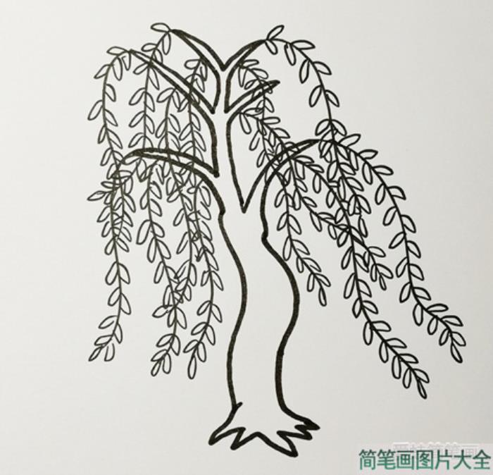 简单又好看的柳树简笔画  第3张