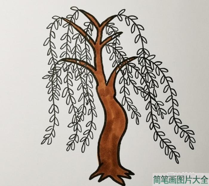 简单又好看的柳树简笔画  第4张