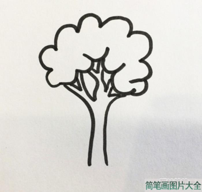 花草树木简笔画  第2张