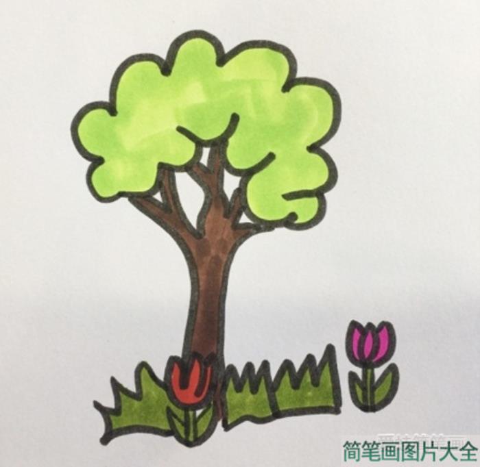 花草树木简笔画  第5张