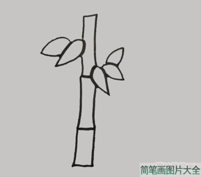 竹子简笔画  第2张