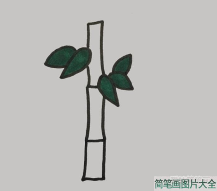 竹子简笔画  第3张