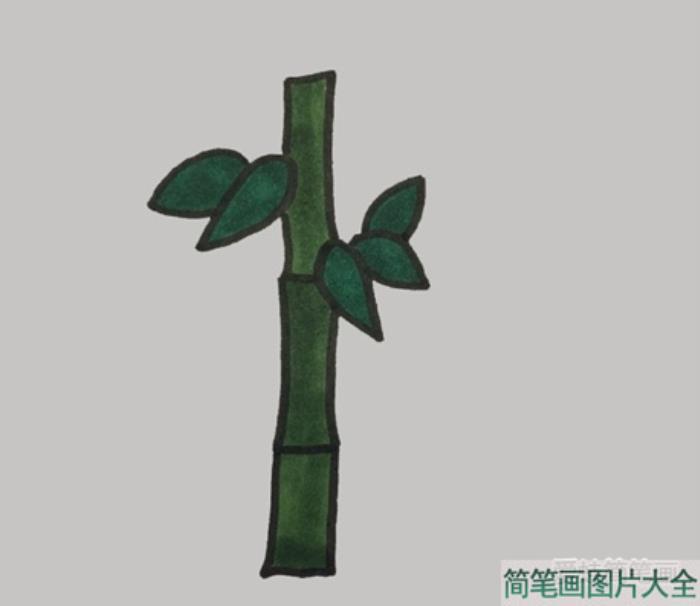 竹子简笔画  第4张