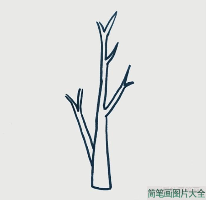 小树简笔画  第1张