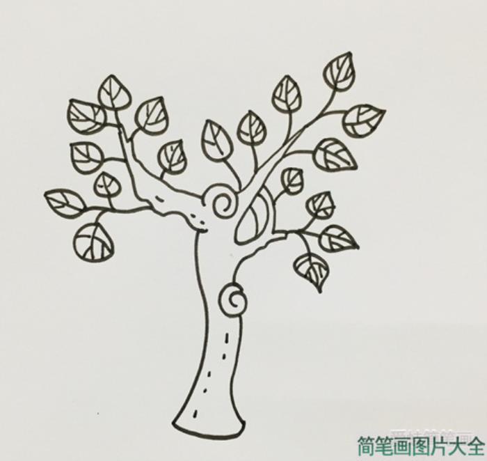 桑树简笔画  第2张