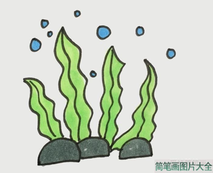 海草简笔画  第4张