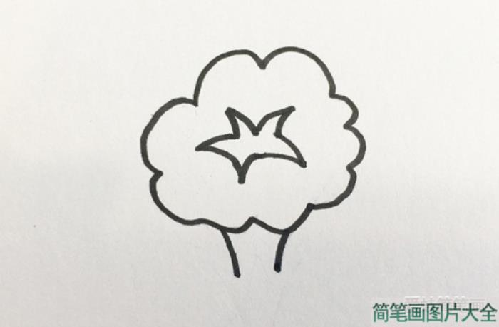 牵牛花简笔画