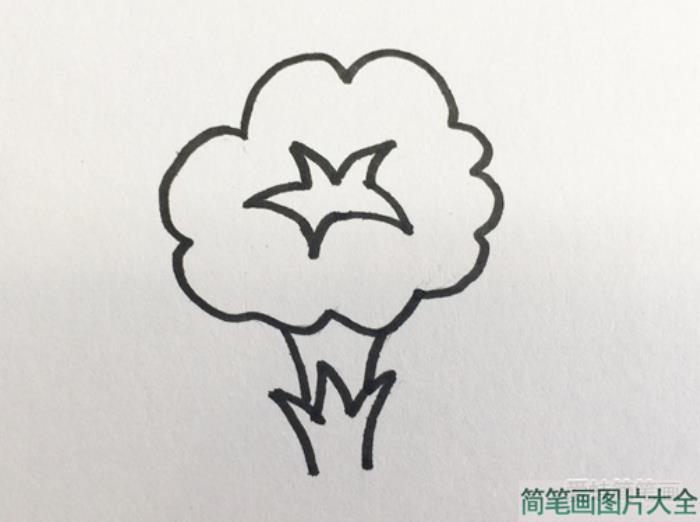 牵牛花简笔画  第2张