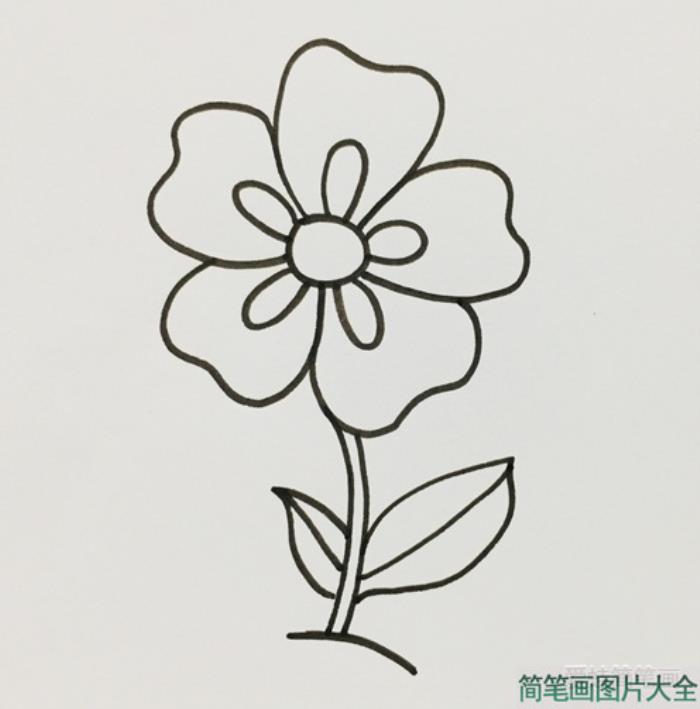 五瓣花简笔画  第3张