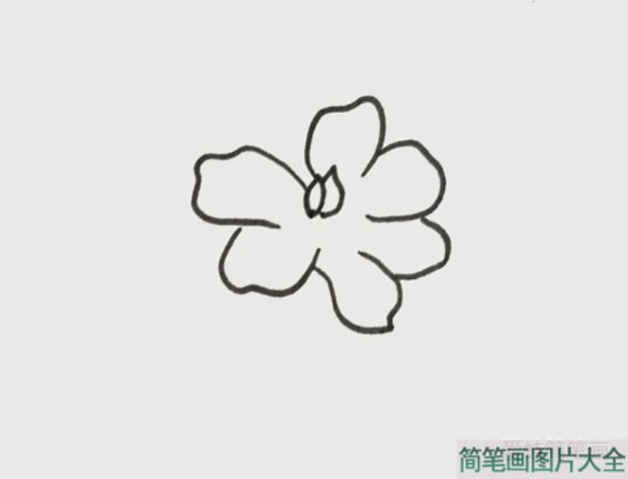 栀子花简笔画