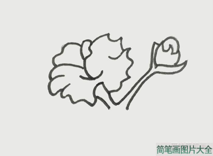 木棉花简笔画  第2张