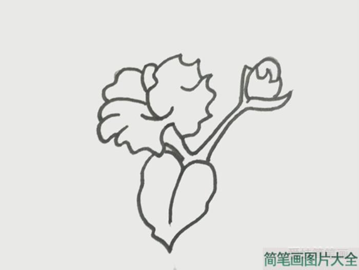 木棉花简笔画  第3张