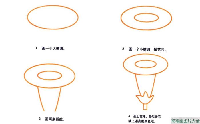 喇叭花简笔画