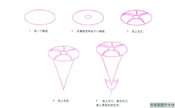 牵牛花简笔画