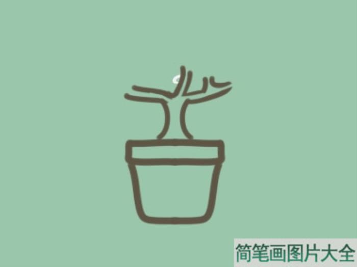 绿植盆栽简笔画  第3张