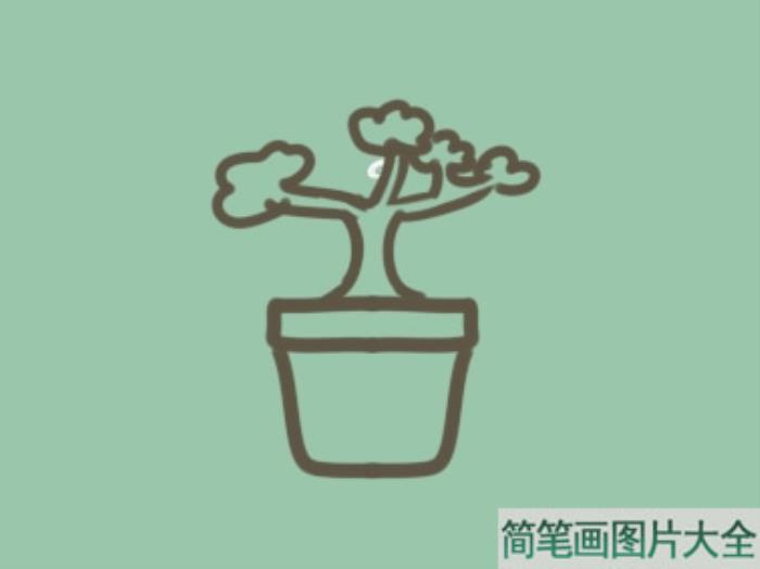 绿植盆栽简笔画  第4张