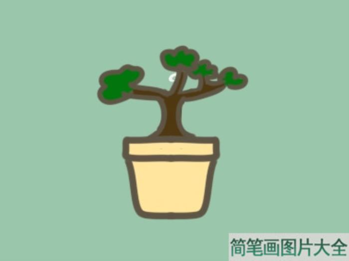 绿植盆栽简笔画  第5张