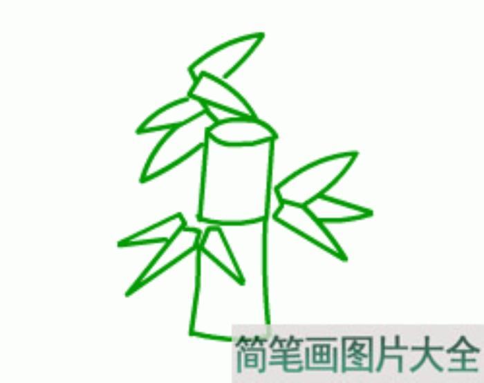 竹子简笔画  第3张