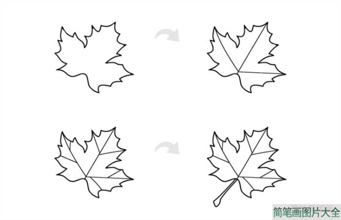 枫叶简笔画  第1张