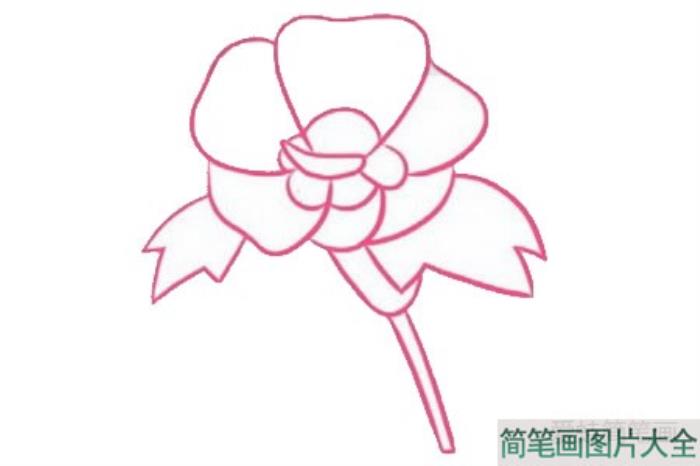 木槿花简笔画  第3张