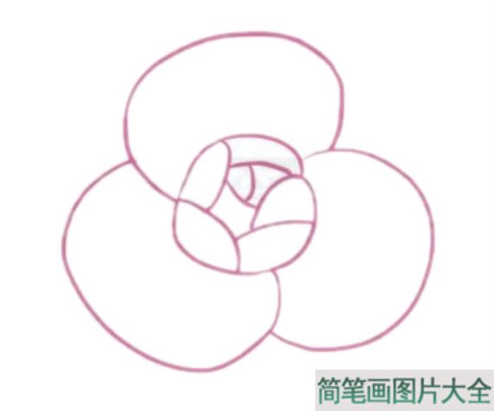 山茶花简笔画  第2张