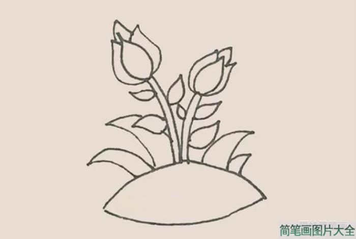 月季花简笔画  第8张