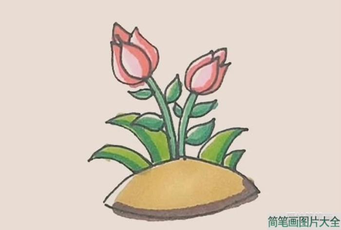 月季花简笔画  第9张