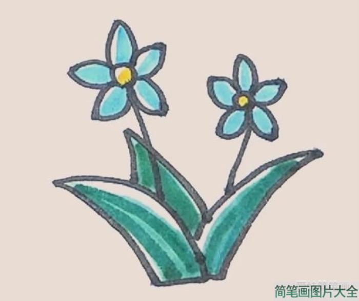 水仙花简笔画  第7张