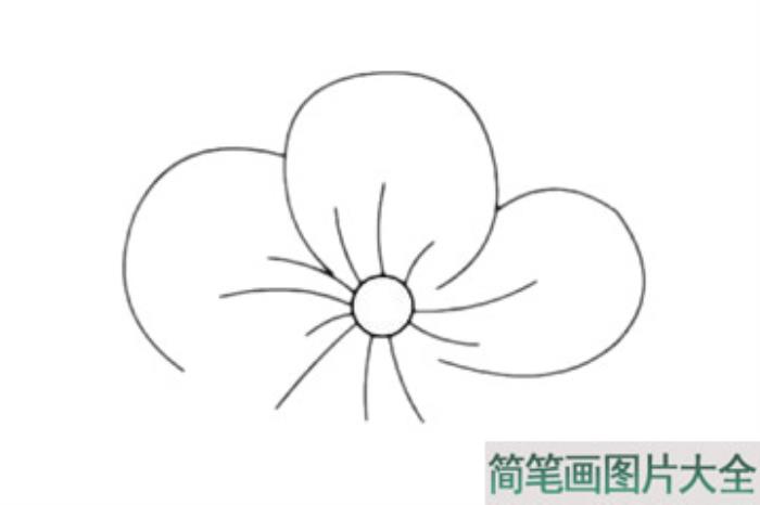 桃花简笔画  第4张