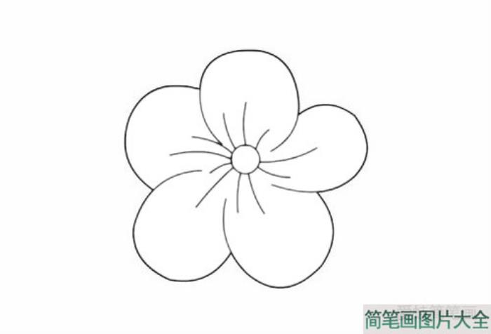 桃花简笔画  第5张