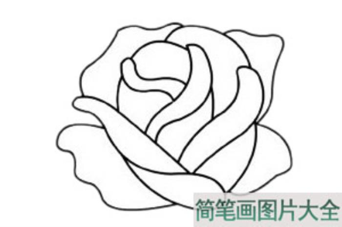 玫瑰花简笔画  第3张