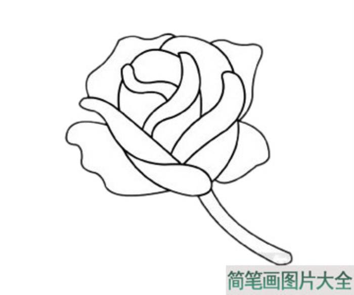 玫瑰花简笔画  第4张