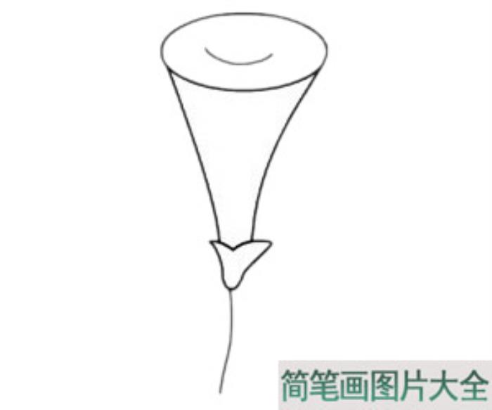 牵牛花简笔画  第3张