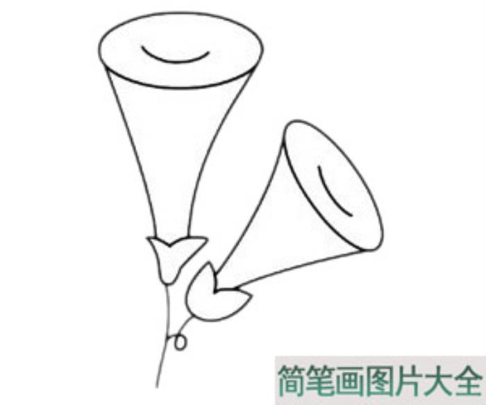 牵牛花简笔画  第4张