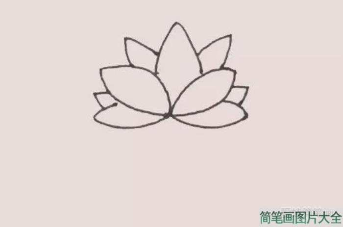 荷花简笔画  第3张