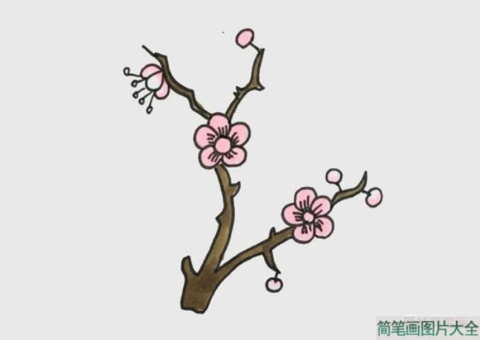 梅花简笔画  第4张